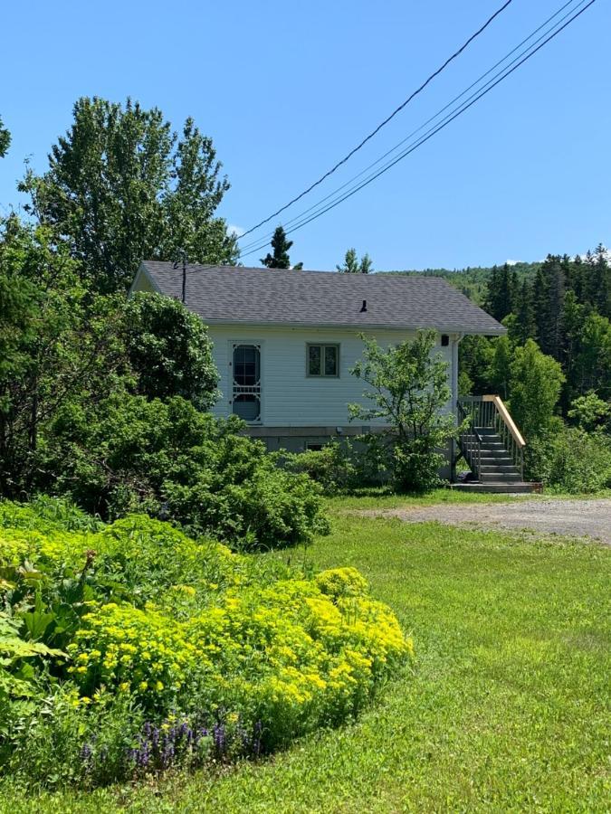 Chalets Les Chanterelles De Forillon L'Anse-au-Griffon Eksteriør bilde