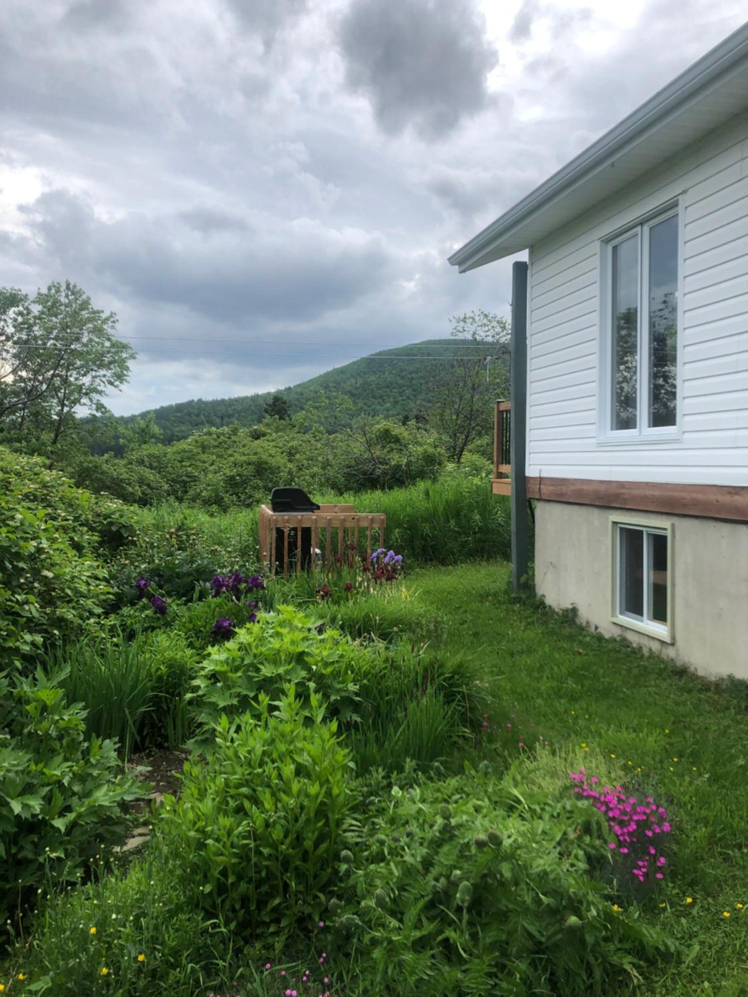 Chalets Les Chanterelles De Forillon L'Anse-au-Griffon Eksteriør bilde